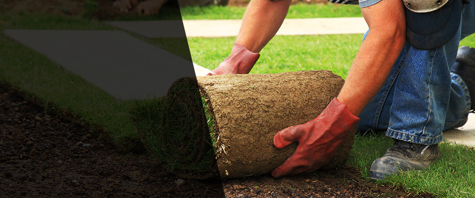 East Haven Landscapers