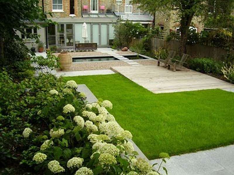 Xeriscape